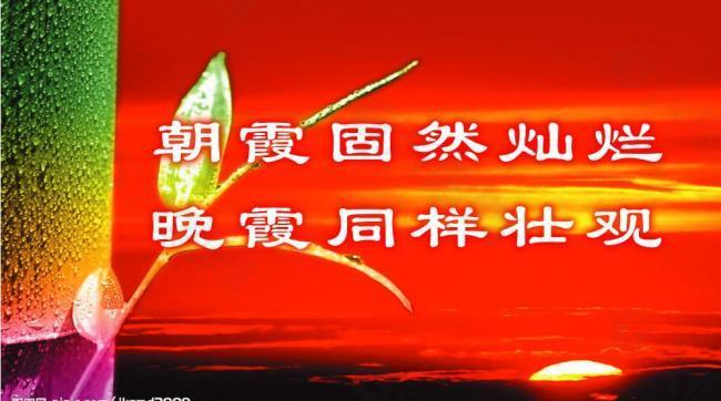 老干部版面圖片