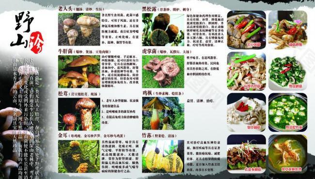 野山菌菜譜圖片
