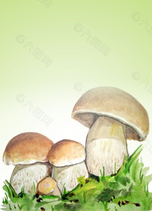 手繪蘑菇