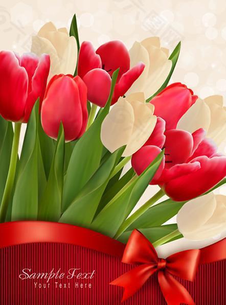 鮮花 郁金香 絲帶圖片