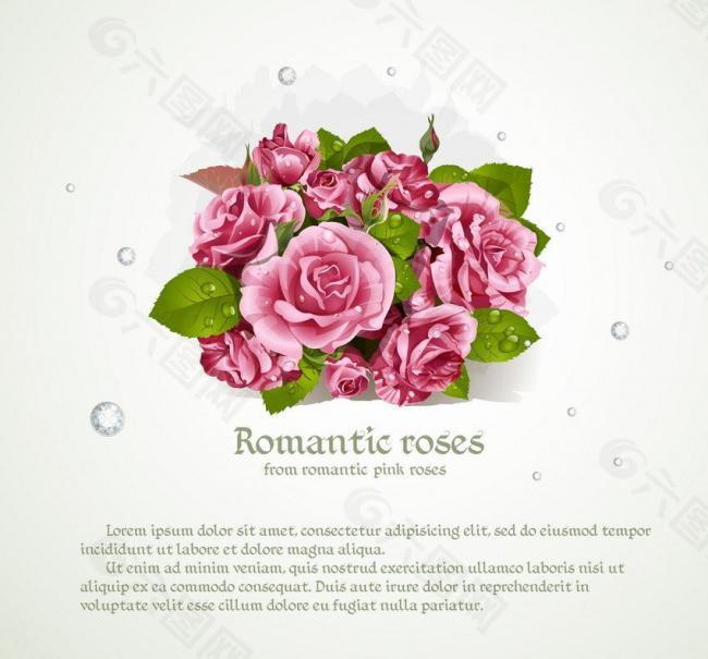玫瑰花图片设计元素素材免费下载(图片编号:54574)-六