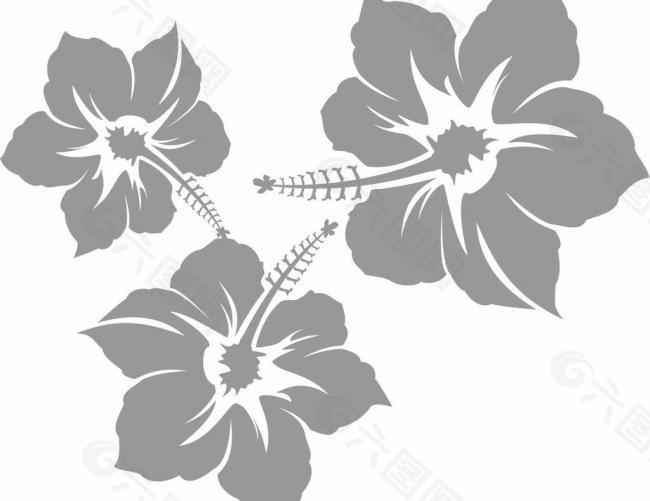 花 鮮花圖片