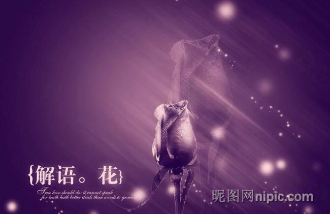 韓國攝影模板圖片