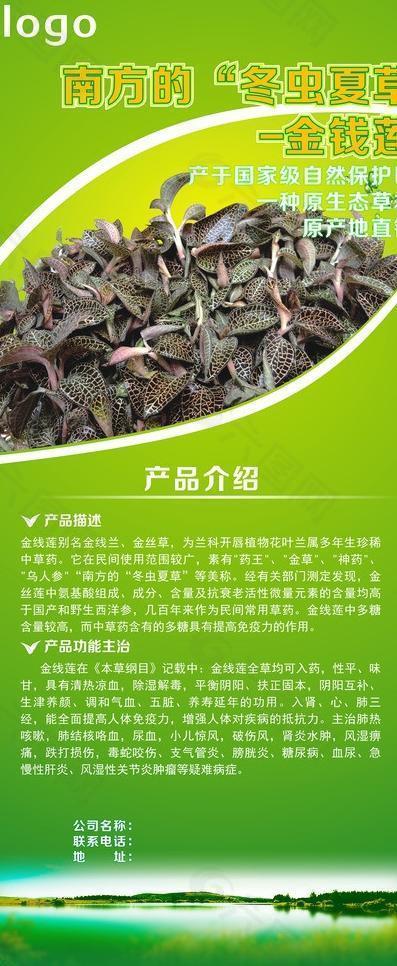 養(yǎng)生綠色展架圖片