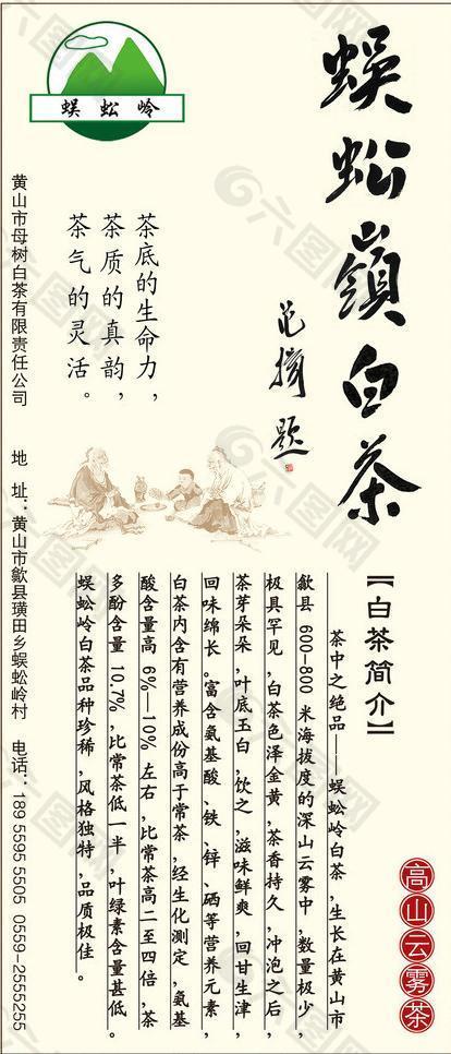 蜈蚣嶺白茶圖片