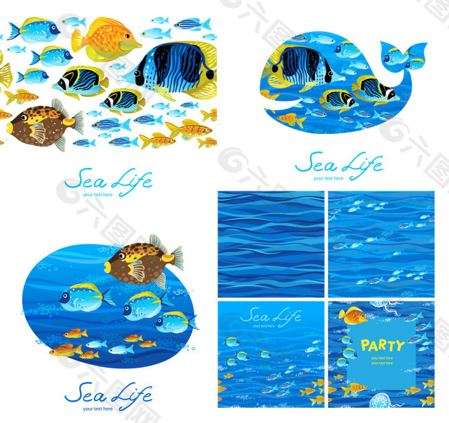 熱帶魚(yú)類(lèi)