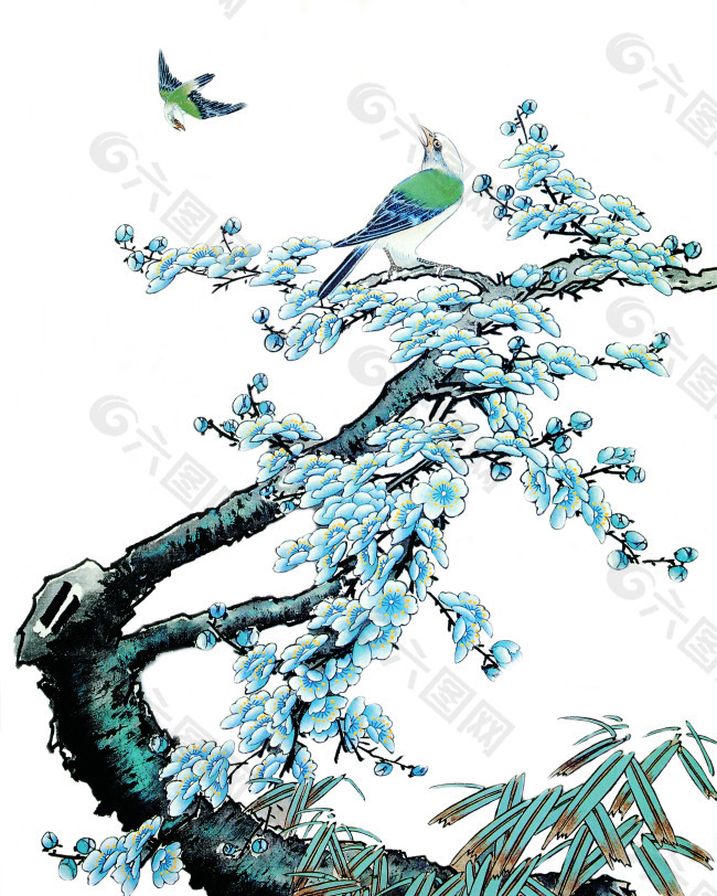 白梅