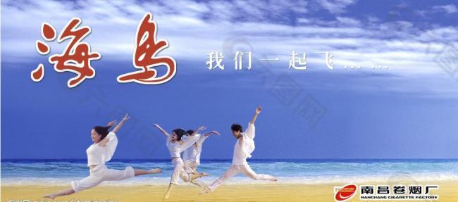 高精度海鳥(niǎo)廣告圖片