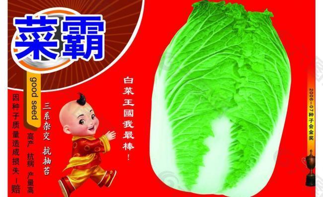 白菜包裝圖片