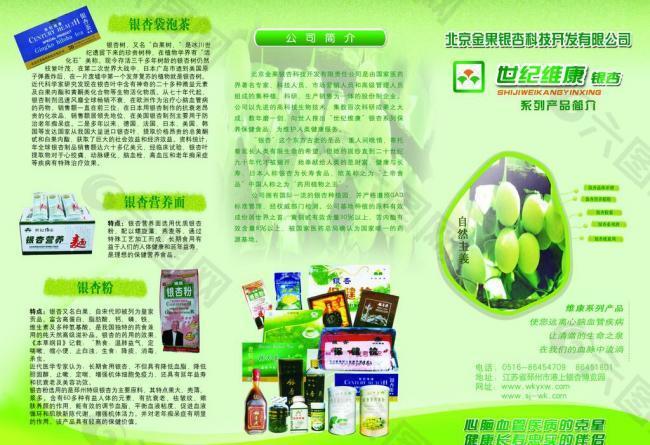 銀杏產(chǎn)品三折頁圖片