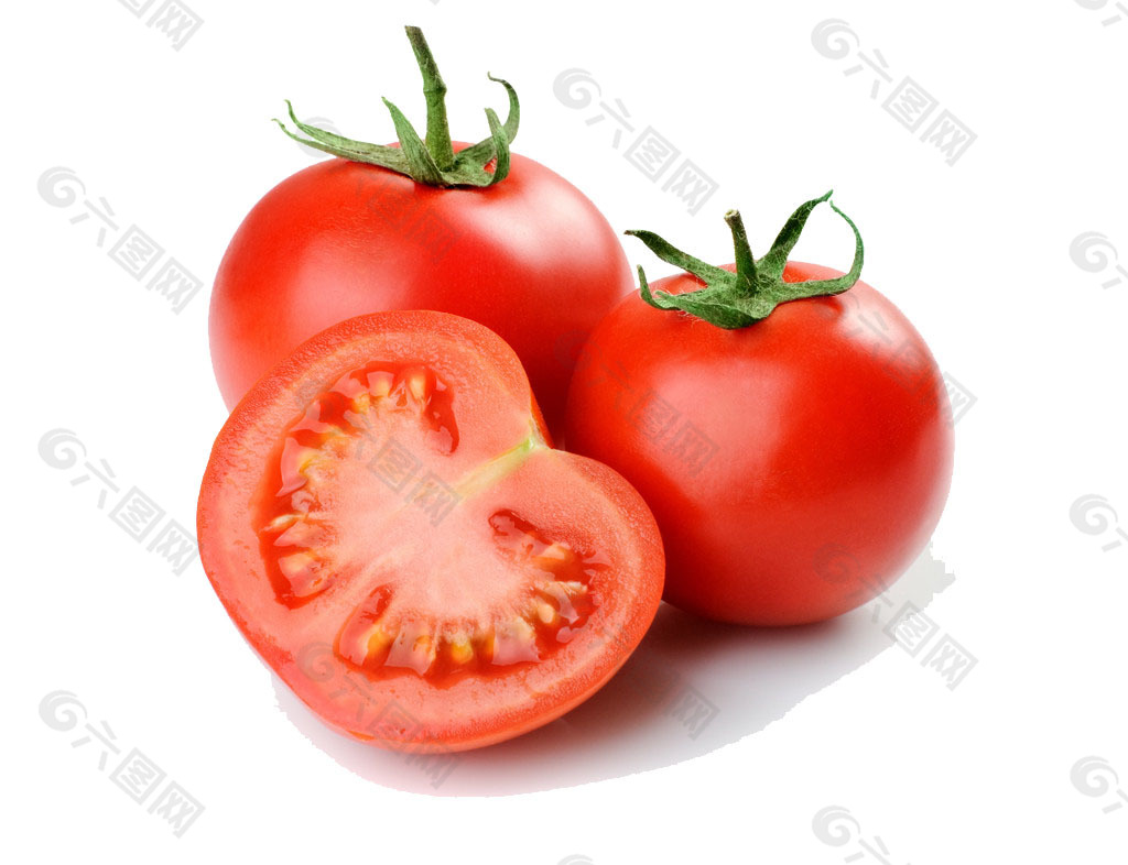 西红柿和番茄有区别吗?