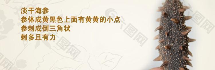 海參淘寶海報圖片