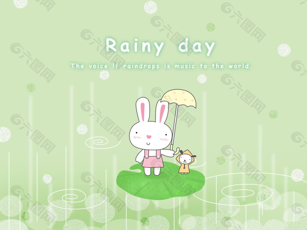 雨中的白兔