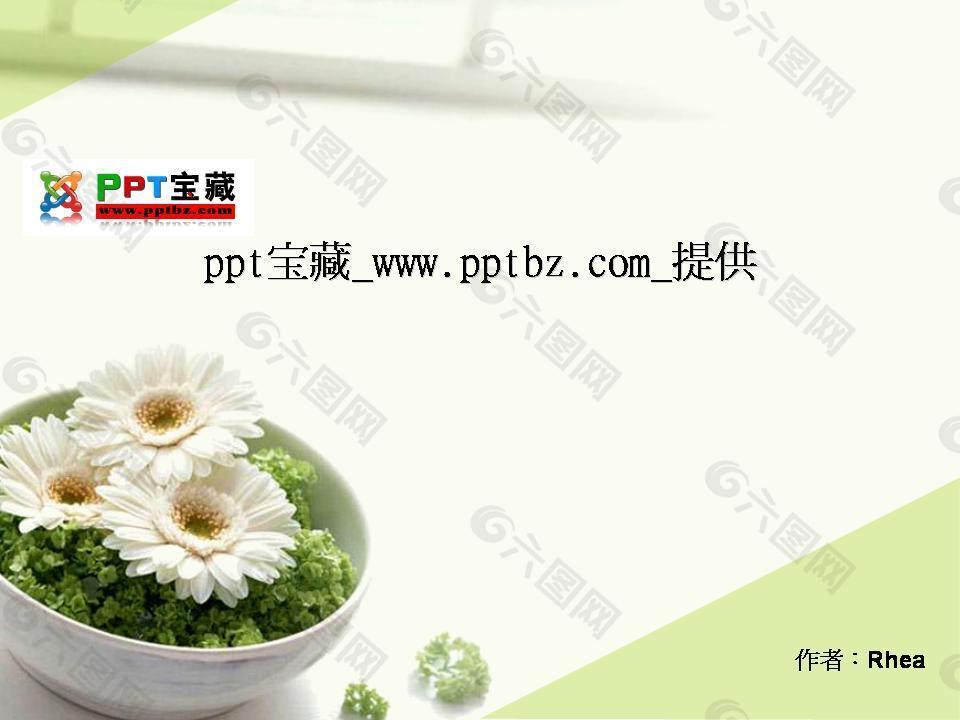 淡雅小盆花ppt模板