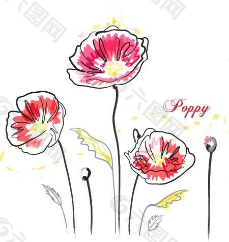 罌粟花