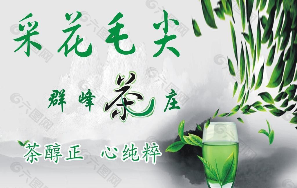 采花毛尖圖片