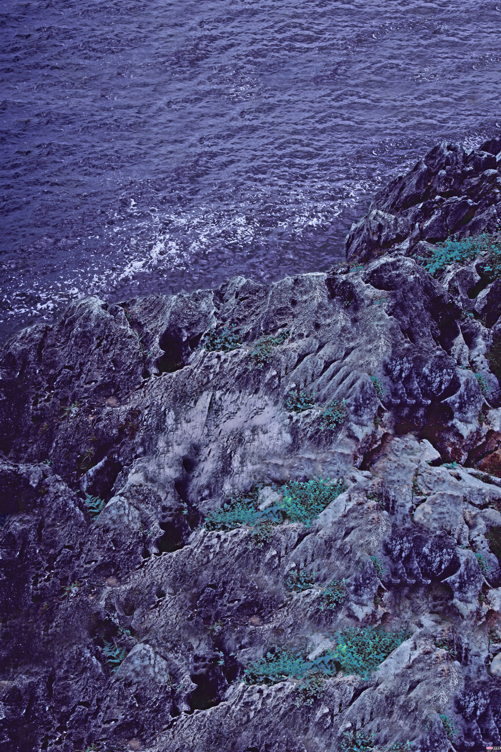 大海