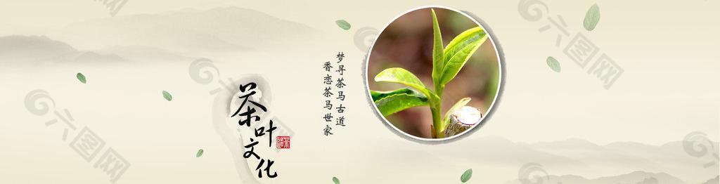素雅茶葉圖圖片