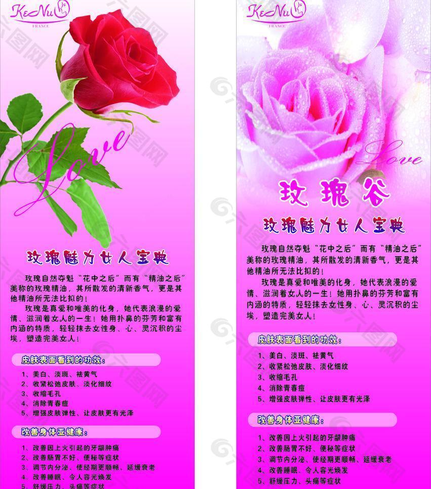 x展架 玫瑰花圖片
