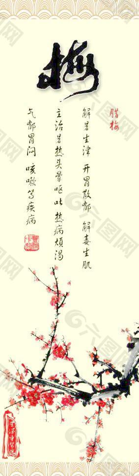 梅花圖片