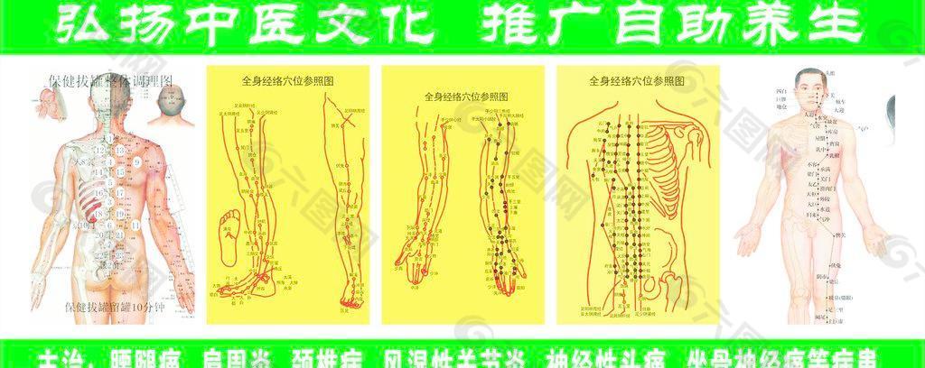 筋脉图图片