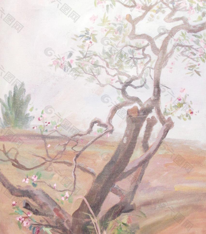 春光圖片