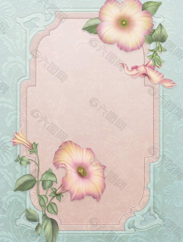 歐式花紋 花卉圖片