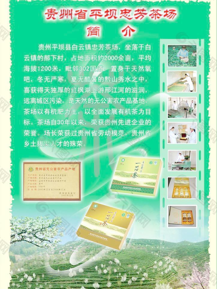 茶傳單圖片