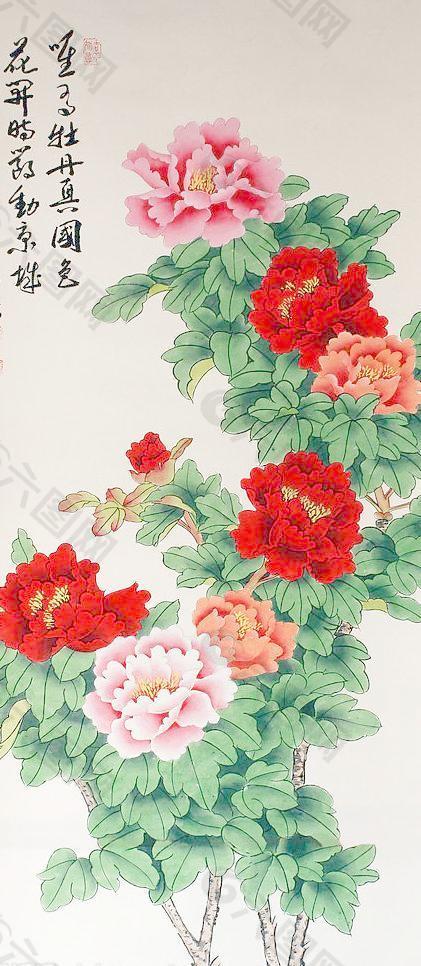 唯有牡丹真國色 花開時節(jié)動京城圖片