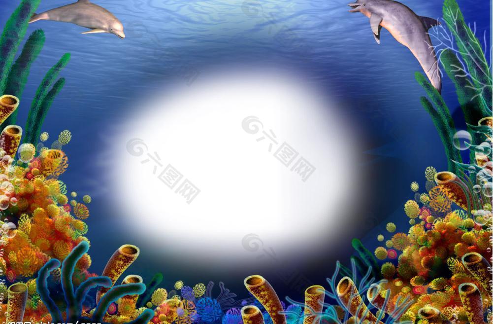 海底世界精品相框圖片