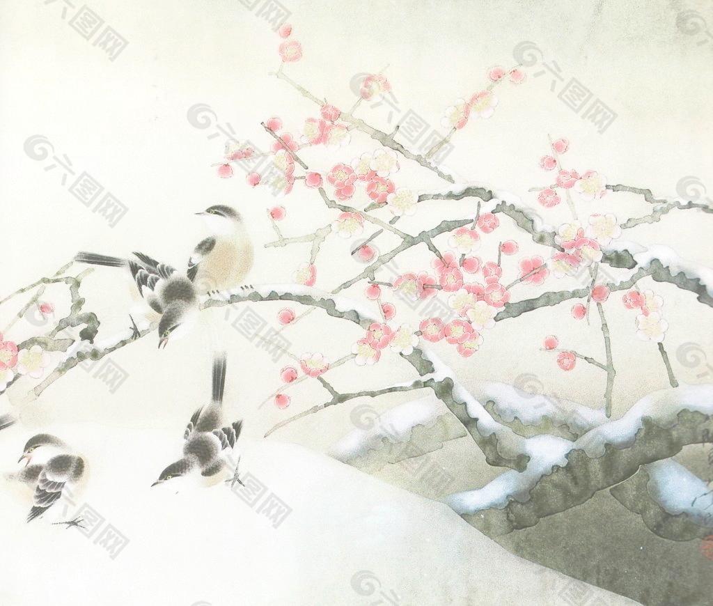 瑞雪圖片