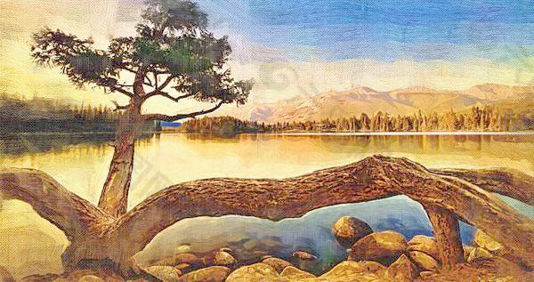 沙漠风景 湖边景物 数 古典树木 油画 挂画 夕阳图片