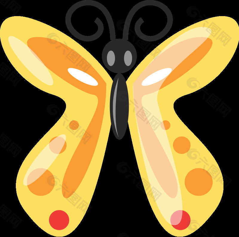 butterfly2