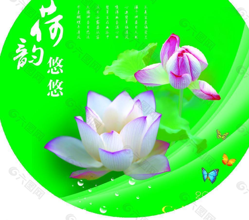 荷花圖片