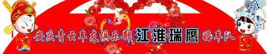 婚車隊宣傳廣告矢量圖  AI