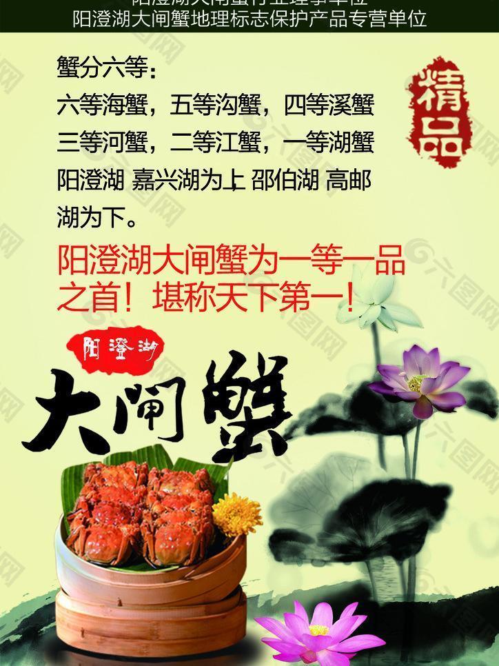 大閘蟹海報圖片