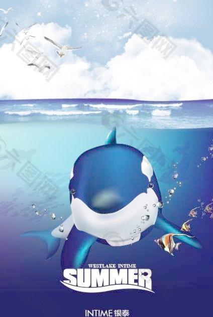 深海海豚圖片