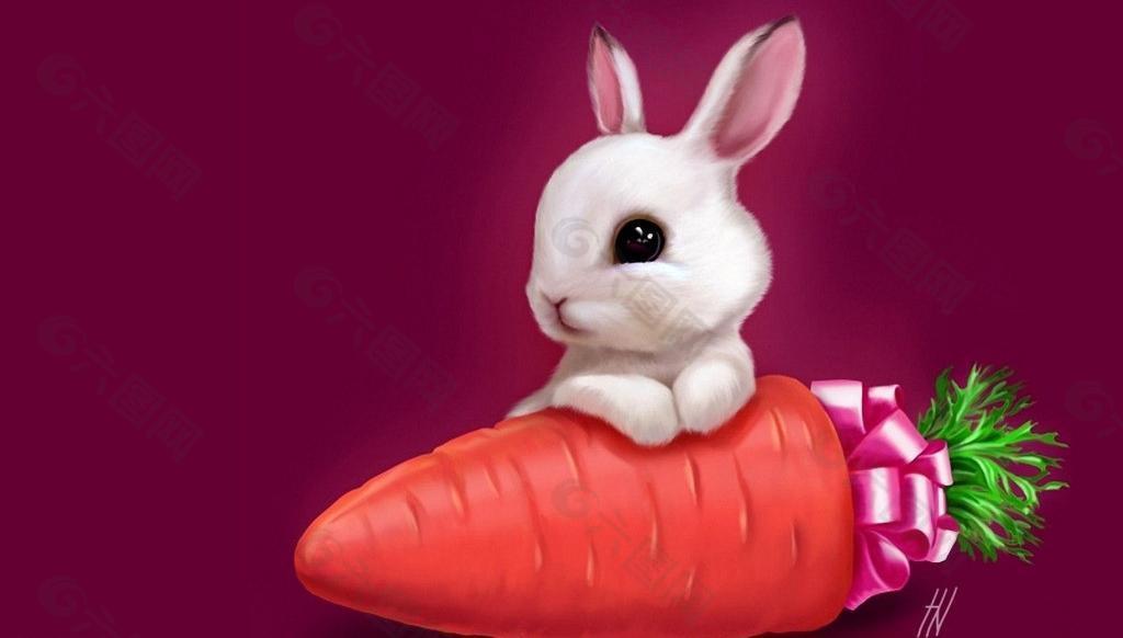 兔子萝卜图片