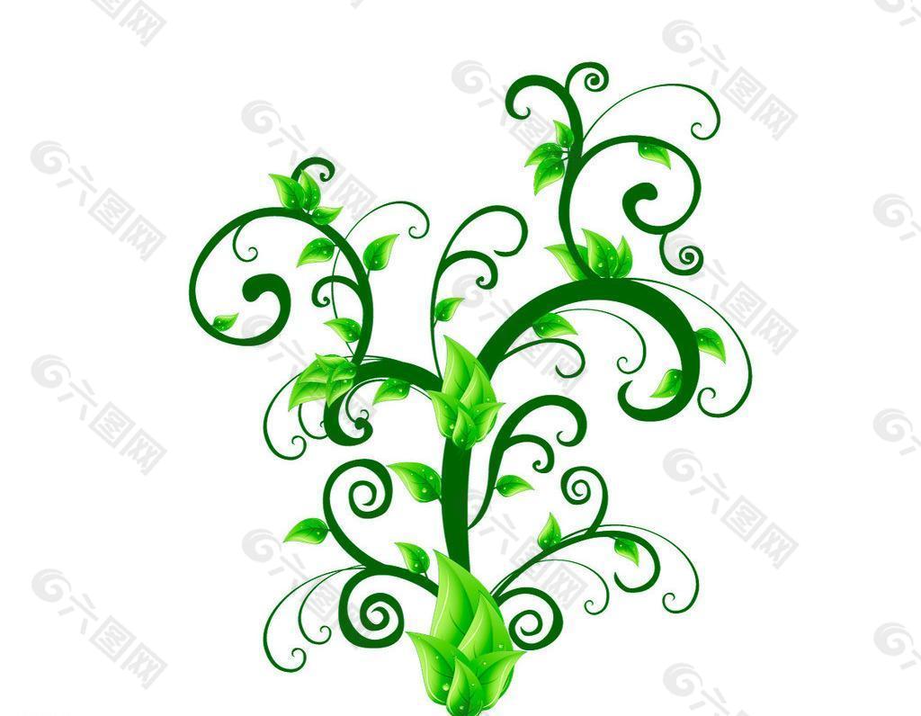 植物圖片