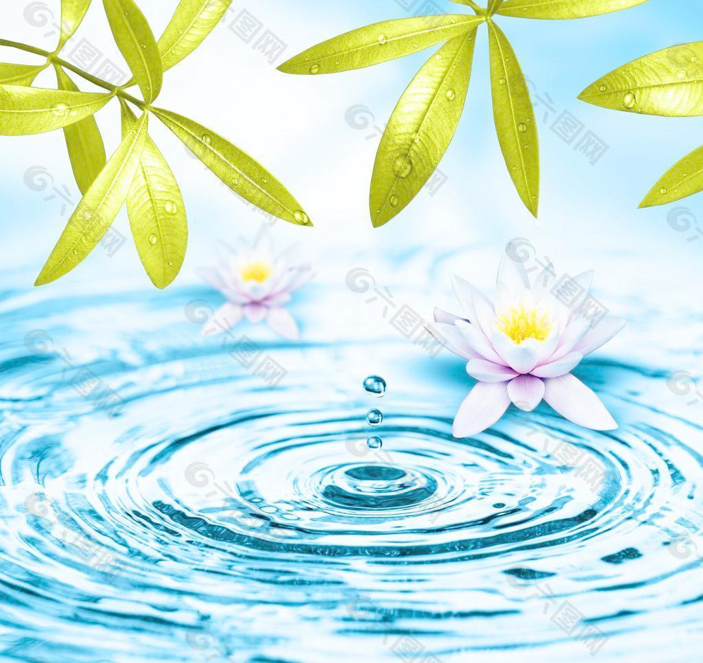 動感水波 動感水珠圖片