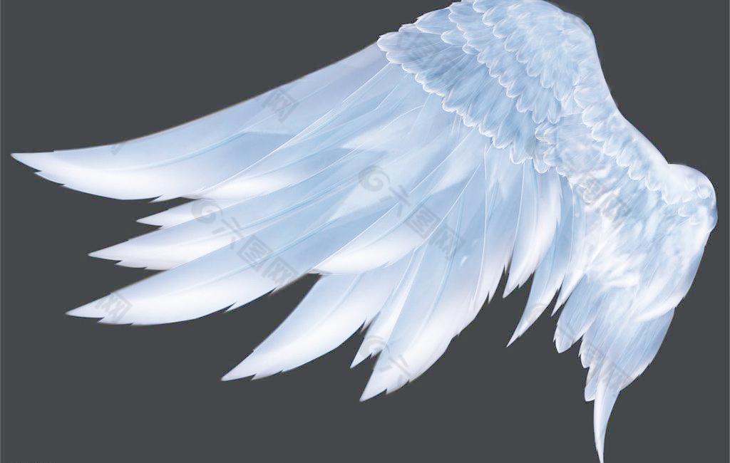 羽毛翅膀图片设计元素素材免费下载(图片编号:1614883