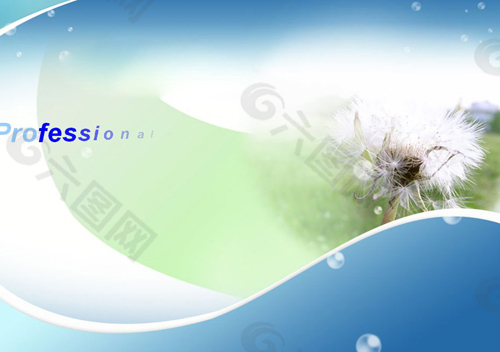 漂亮的蒲公英背景PPT