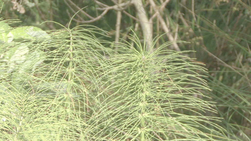 綠色股票視頻 視頻免費下載