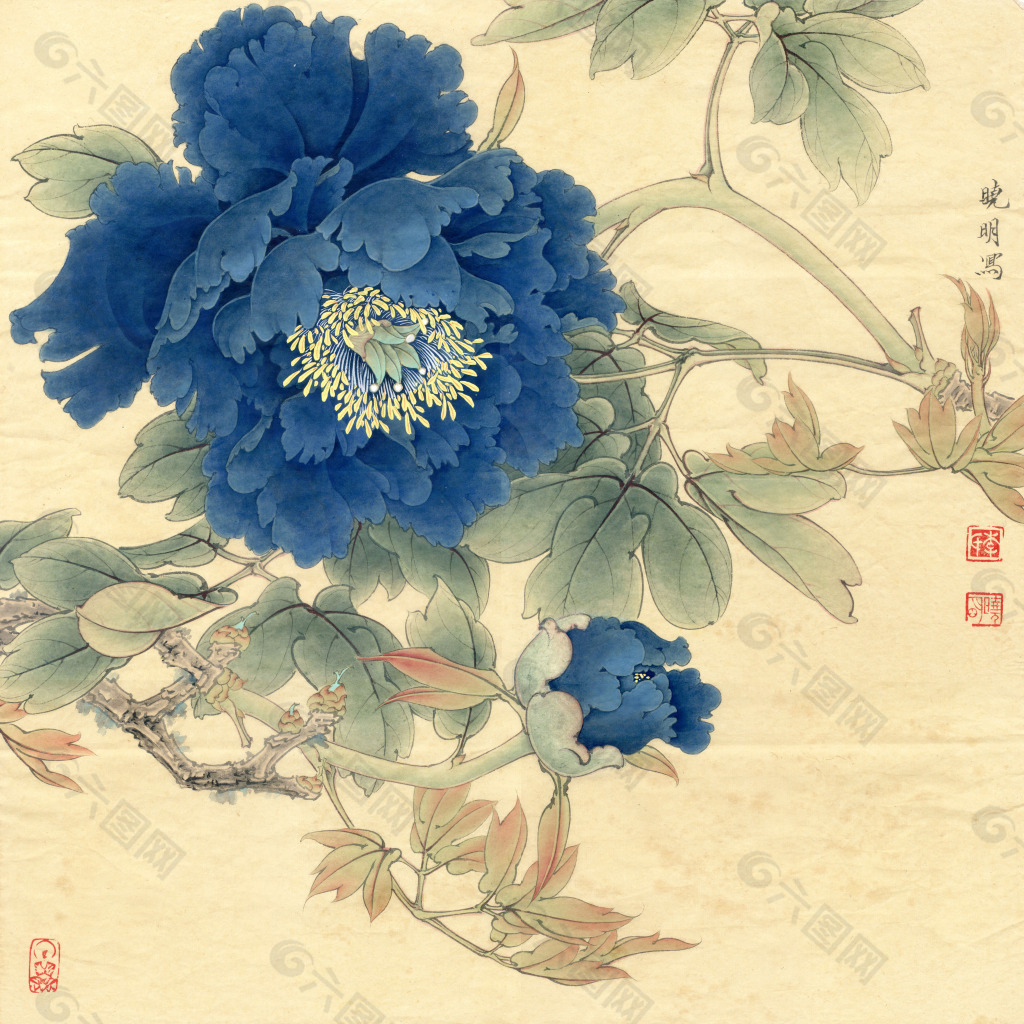 青龍綻金蕊