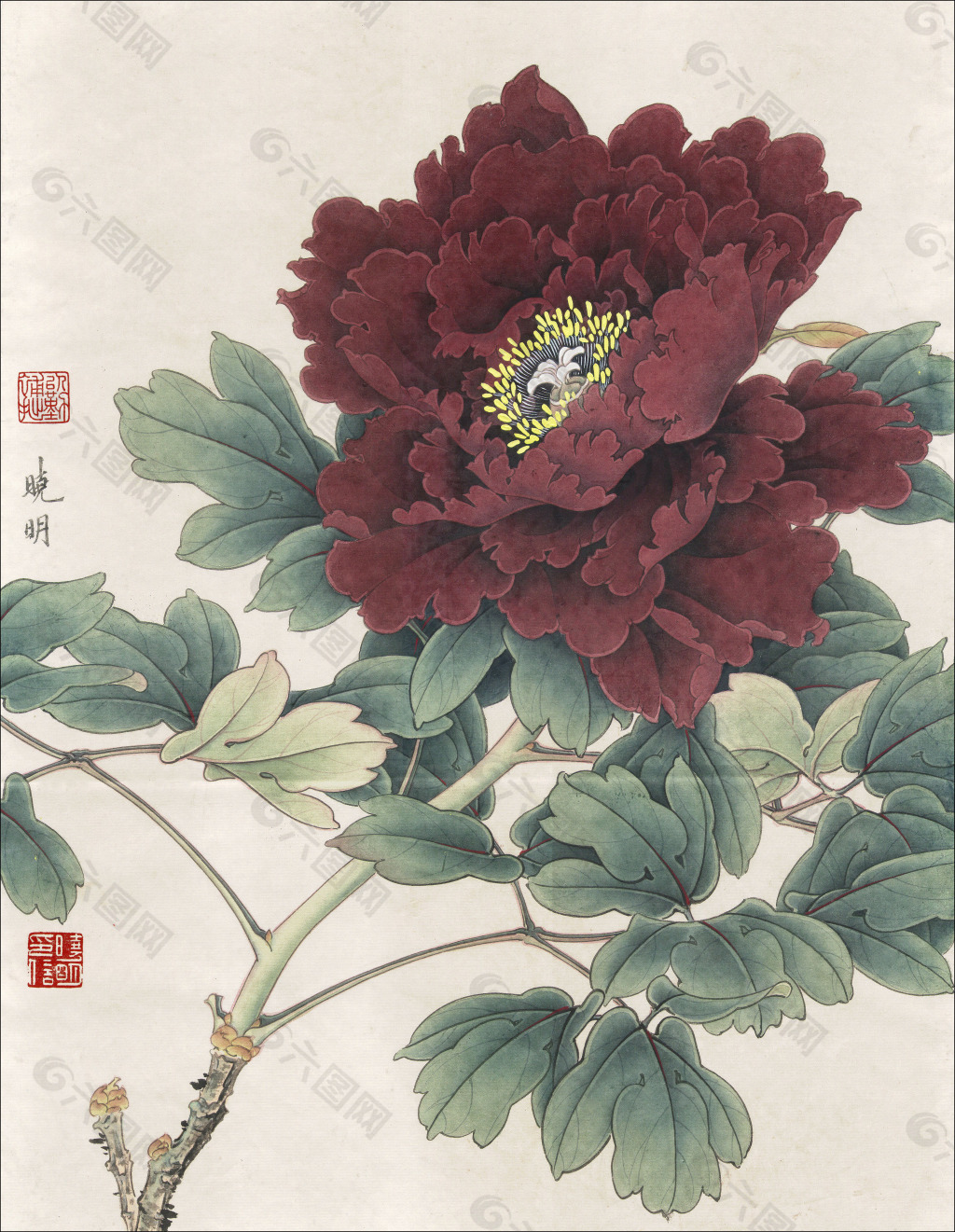 墨花魁