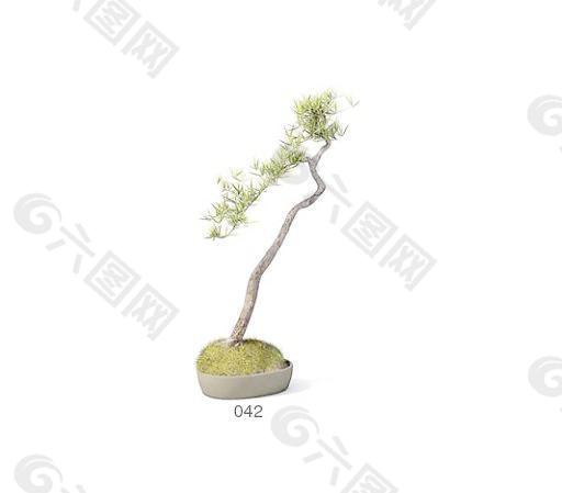 植物盆栽室內裝飾素材免費下載盆栽3d模型素材 77