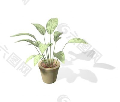 植物盆栽室内装饰素材免费下载盆栽3d模型素材 189