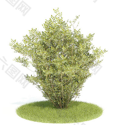 植物國(guó)外精品裝飾素材免費(fèi)下載3d裝修素材 45