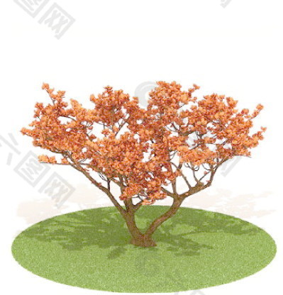 植物國(guó)外精品素材裝飾素材免費(fèi)下載室內(nèi)裝飾素材 34