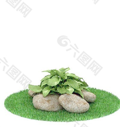 植物國外精品素材裝飾素材免費下載國外裝飾素材 153
